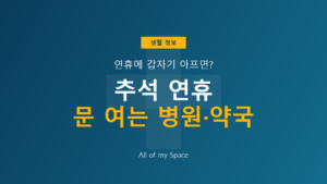 추석 연휴 문 여는 병원 약국 찾는 방법 – 응급의료포털·129 조회 총정리