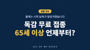 독감 무료 예방접종 65세 이상 일정 – 연령별 시작일·코로나19 동시접종